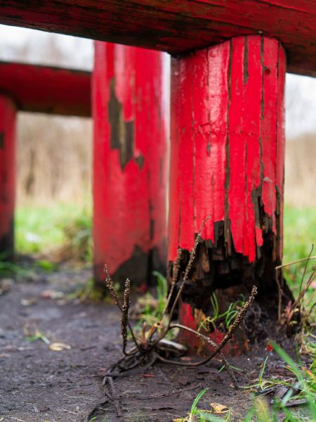 Cost of Rotten Column Replacement in Belleville